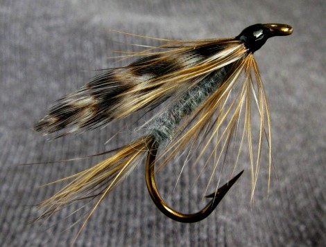 Daiichi 1550 - Standard Wet Fly Hook – Fly Fish Food
